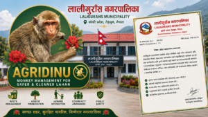 बाँदर आतंकविरुद्ध लालीगुराँस नरपालिकाको सामूहिक अभियान ।
